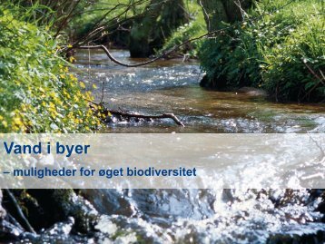 Regnvand og biodiversitet (620 KB) - Vand i Byer