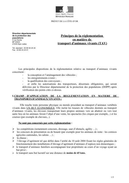 Exemple De Description Morale D Une Personne  Le Meilleur Exemple