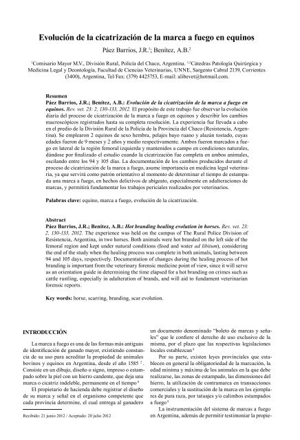 Evolución de la cicatrización de la marca a fuego en equinos