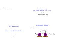 Folien vom Vortrag (pdf-Datei, 0,5 MB) - Physik am Samstag