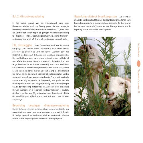 Voederbomen-in-de-landbouw-brochure