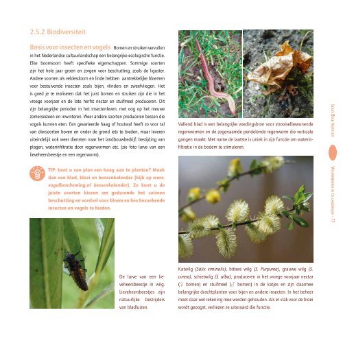 Voederbomen-in-de-landbouw-brochure