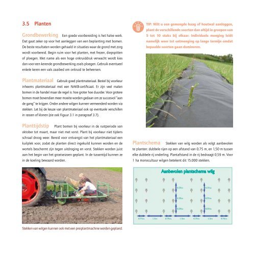 Voederbomen-in-de-landbouw-brochure