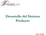 Sistemas Producto - Mango Mexicano