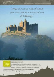 'Make the iconic Rock of Cashel your first stop on a ... - Tipperary