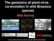 The genomics of plant-virus co-evolution in wild Brassica species