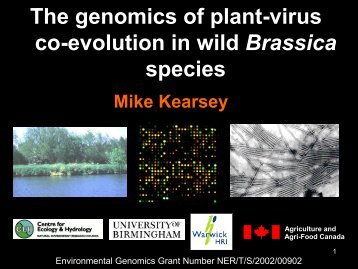 The genomics of plant-virus co-evolution in wild Brassica species