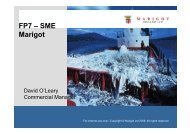 SME_Roadshow 09_Marigot Ireland Ltd (pdf) - Seventh EU ...
