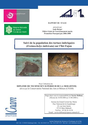 télécharger le document - Réseau des tortues marines de Guadeloupe