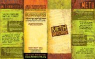 Methamphetamine Brochure - Williamson County Schools