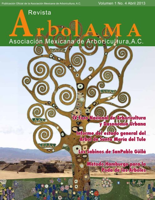 ArbolAMA No.4 Vol.1 abril 2013 [Baja ResoluciÃ³n] - AsociaciÃ³n ...
