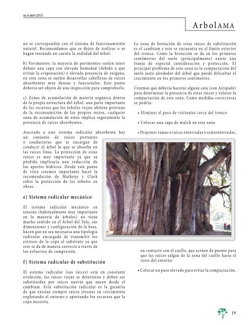 ArbolAMA No.4 Vol.1 abril 2013 [Baja ResoluciÃ³n] - AsociaciÃ³n ...