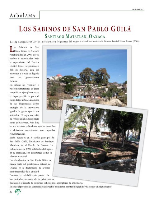 ArbolAMA No.4 Vol.1 abril 2013 [Baja ResoluciÃ³n] - AsociaciÃ³n ...