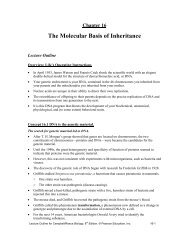 CHAPTER 16 THE MOLECULE BASIS OF INHERITANCE