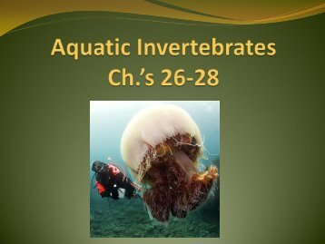 Ch. 26-28 Aquatic Invertebrates
