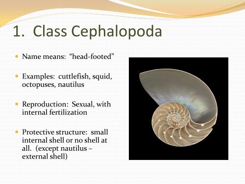 Ch. 26-28 Aquatic Invertebrates