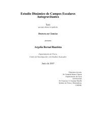Estudio Dinámico de Campos Escalares Autogravitantes - Instituto ...