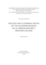 Geology and ultramafic rocks of the Paleoproterozoic Pulju ...