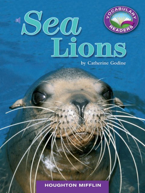 Lesson 24:Sea Lions