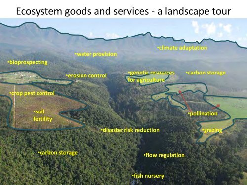 Ecological infrastructure