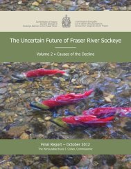 The Uncertain Future of Fraser River Sockeye - Publications du ...