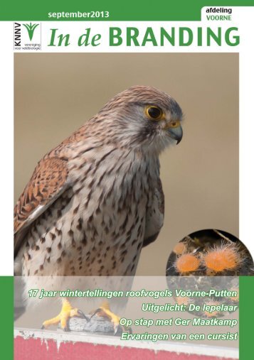 17 jaar wintertellingen roofvogels Voorne-Putten Uitgelicht: De ...