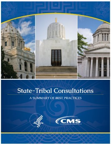 State-Tribal Consultations: A Summary of Best Practices - Northwest ...