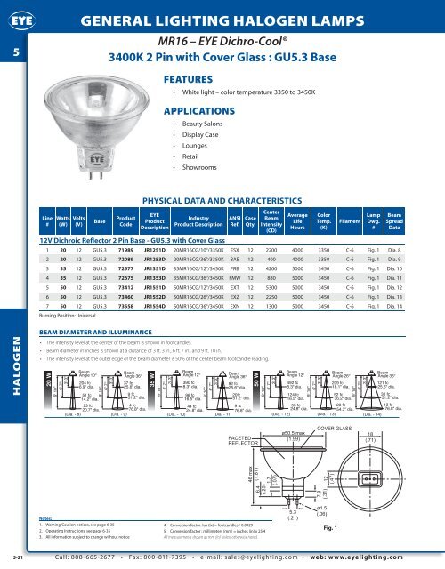 IWASAKI LIGHTING - EYE Lighting International of North America, Inc.