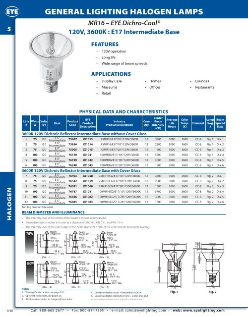 IWASAKI LIGHTING - EYE Lighting International of North America, Inc.