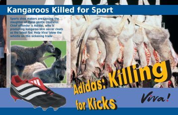 Adidas Predator - Save the Kangaroo