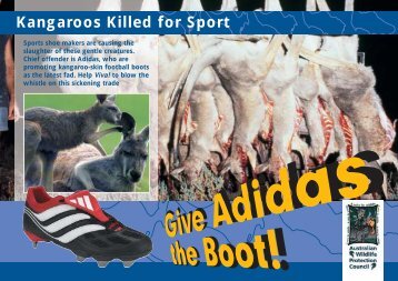 Adidas flyer for AWPC - Save the Kangaroo