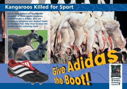 Adidas flyer for AWPC - Save the Kangaroo