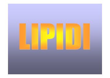 27.lipidi