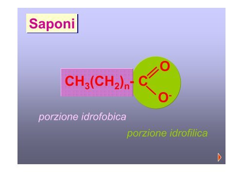 27.lipidi