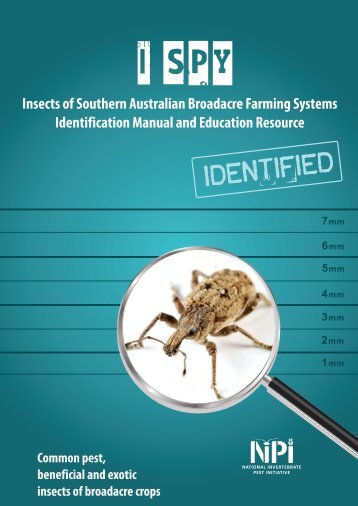 Insects of Southern Australian Broadacre Farming Systems - Grains ...