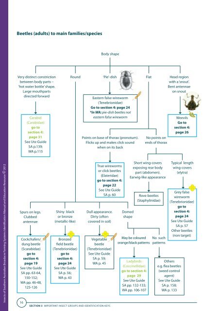 Insects of Southern Australian Broadacre Farming Systems - Grains ...