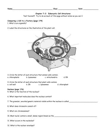 7-2 Cell Worksheet - Hart High School