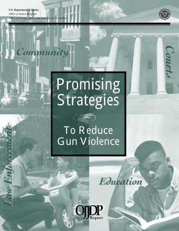 Promising Strategies To Reduce Gun Violence - Office of Juvenile ...