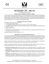Protocol (CE) - Vector Laboratories
