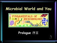 Microbial World and You