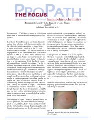 Immunohistochemistry in the diagnosis of Lyme Disease ... - IHC World