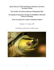 Myanmar Workshop on Chelonian Conservation - Asian Turtle ...