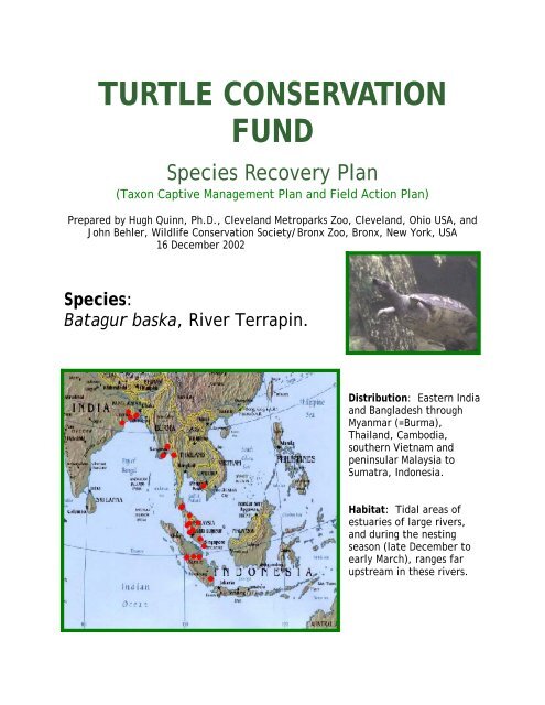 Turtle Conservation Fund - Species Recovery Plan for Batagur baska
