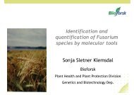 Identification and quantification of Fusarium species by ... - Bioforsk