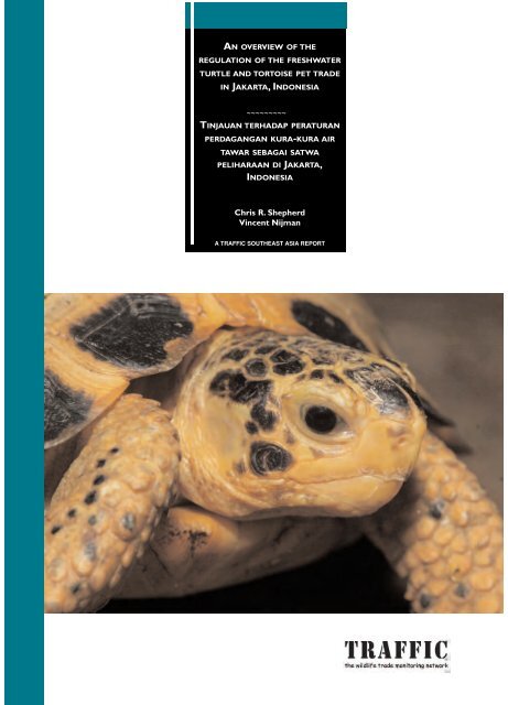 An Overview Of The Regulation Of The Freshwater Turtle And