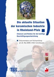 Die aktuelle Situation der keramischen Industrie in Rheinland-Pfalz