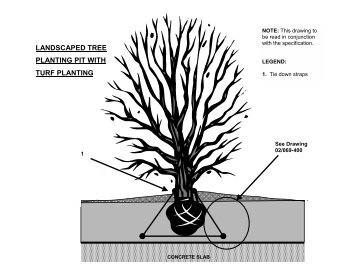 LANDSCAPED TREE PLANTING PIT WITH TURF ... - Fytogreen