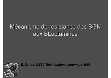 Mécanisme de résistance aux ß-lactamines des bacilles à Gram ...