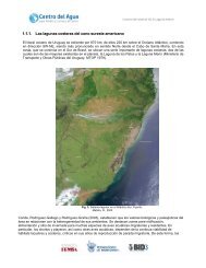 1.1.1. Las lagunas costeras del cono sureste americano - WASA-GN