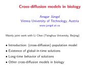 Cross-diffusion models in biology - ICMS